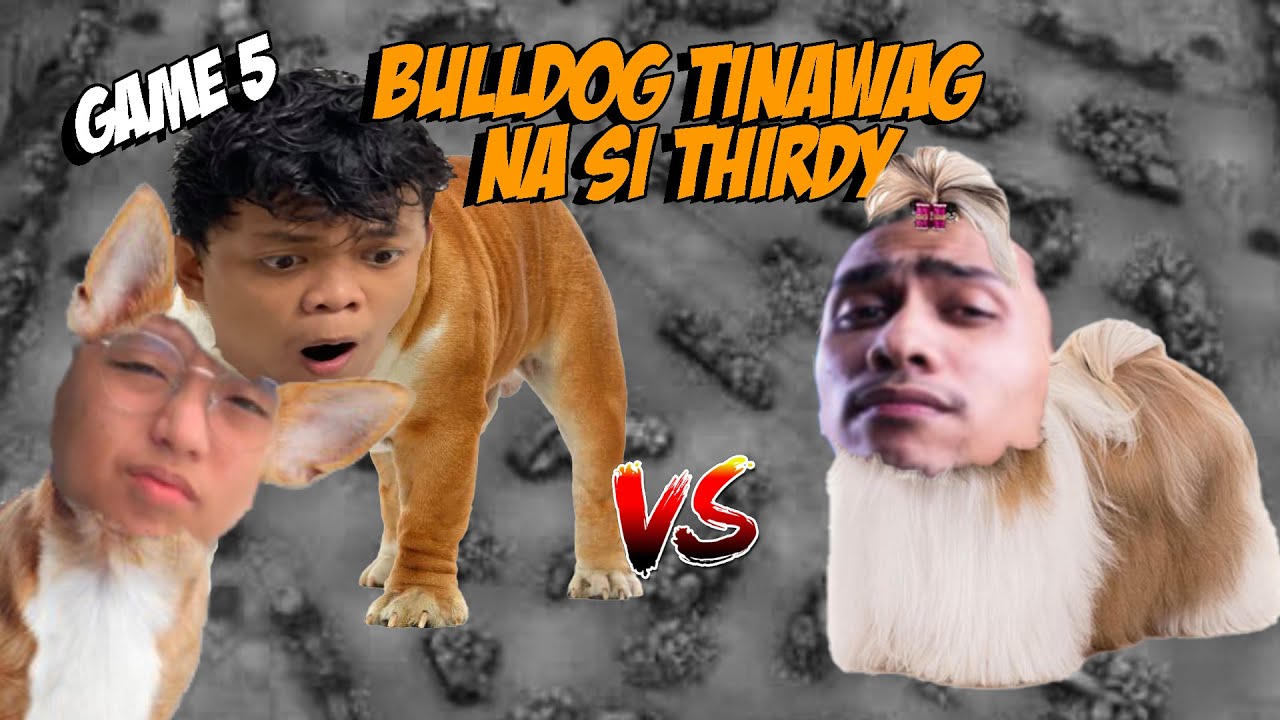 BULLDOG LABAN SA SHIH TZU | GAME 5