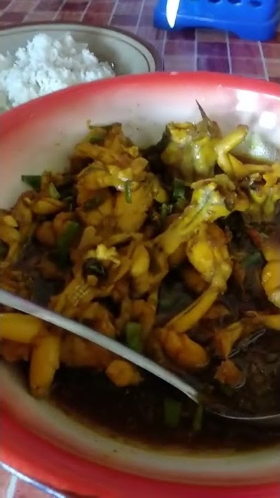 pertama kali makan swike kodok