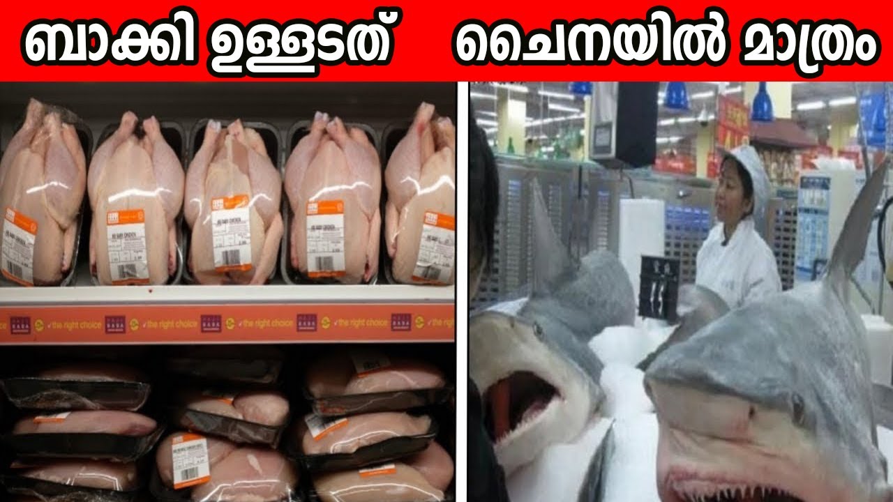 ഇവയൊക്കെ നിങ്ങൾക്ക് ചൈനയിൽ മാത്രമേ കാണാൻ സാധിക്കൂ | ചൈനയിലെ വിചിത്രമായ 15 കാഴ്ചകൾ