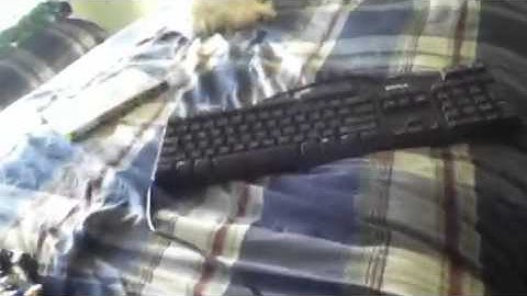 Mw2 Modded Custom Classes xbox