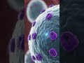 What is cytokines & their function #science #cellbiology #ai #cytokines #subscribemychannel