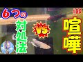 これで解決！喧嘩の原因と６つの対処法♪【メダカの喧嘩】＃８０ ～美心めだか～