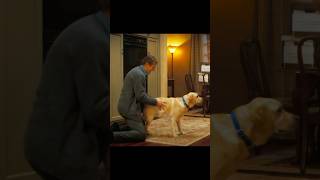 This is quite a misunderstanding. #movie #film #fypシ #shortvideo Profile