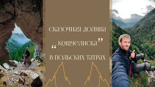 видео: Самая красивая долина Польши в Татрах. Пещеры, горы, Закопане. #польскиетатры #польша #татры картинка: Самая красивая долина Польши в Татрах. Пещеры, горы, Закопане. #польскиетатры #польша #татры