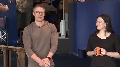 SCIENCE SUNDAY: How suction cups work