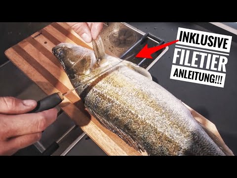 Video: Was Beim Braten Von Fisch Absolut Nicht Möglich Ist: Meer Und Fluss