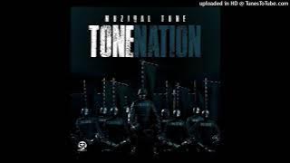 11. Muziqal Tone - Dlala Tone (feat. Ndura & LeeMckrazy)
