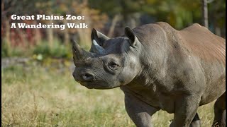 Great Plains Zoo – Sioux Falls, SD: Wandering Walks of Wonder Slow TV Walking Tour 4K