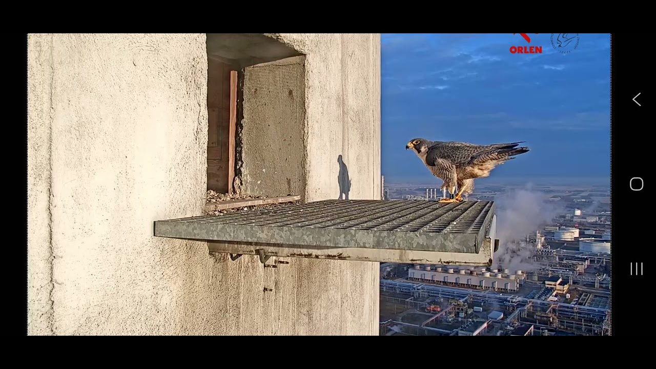 Orlen Płock_02.03.2026 G1_ Werwa u siebie