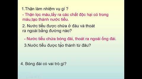 Lớp 3, Tuần 5, Môn TNXH, Bài Hoạt động bài tiết nước tiểu