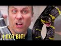 BITTEN BY A VENOMOUS SNAKE!! MY REACTION AND SYMPTOMS!!! | BRIAN BARCZYK