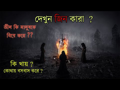 ভিডিও: কৌতূহল কি