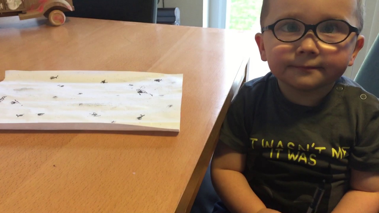 Noel writing his letter to santa 🎅🏻