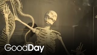 Death by Natural Causes exhibit comes to Old Sacramento