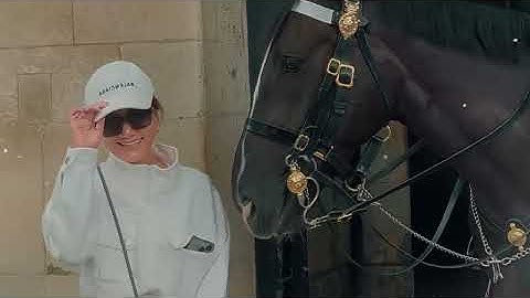 CANADIAN TOURIST Gets DESTROYED After Ignoring Horse Guards — Bitten & Yelled at by Royal Guard