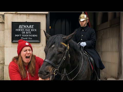 CANADIAN TOURIST Gets DESTROYED After Ignoring Horse Guards — Bitten & Yelled at by Royal Guard