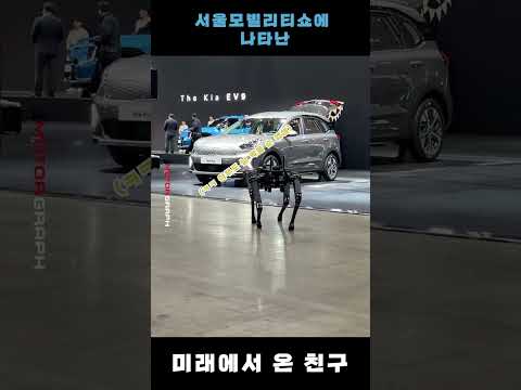 신차보다 로봇개가 더 신기한 2023 서울모빌리티쇼
