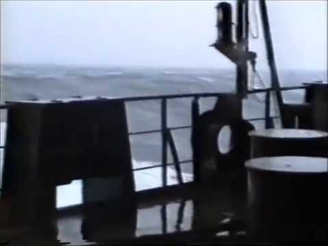 וִידֵאוֹ: ים ברינג - הצפוני ביותר
