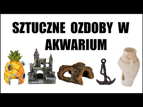 Wideo: Jak Zrobić Dekoracje Do Akwarium For