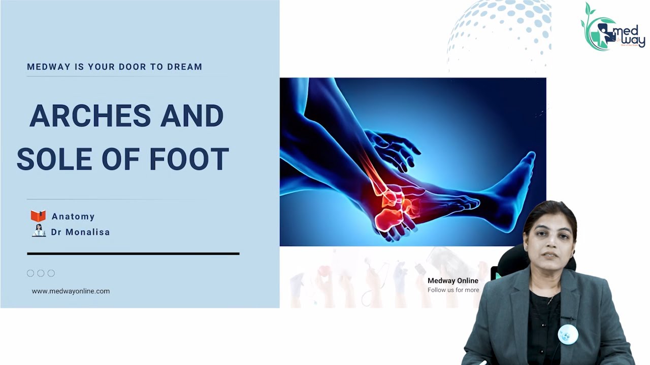 Arches and Sole of Foot  ||  Anatomy  ||  By Dr. Monalisa #medway