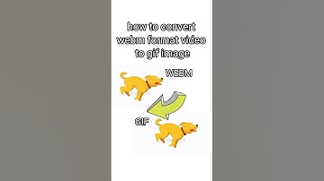 HOW❓Convert webm to gif ‼️#tutorial