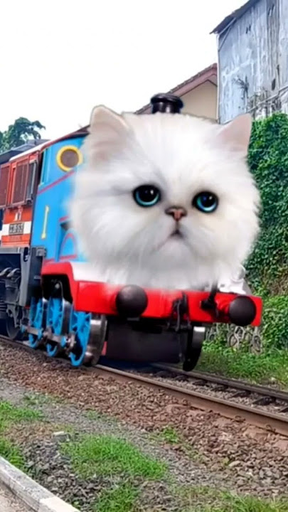 Kereta Api Tut Tut Tut, Kereta Api jadi Kepala Kucing Lucu #shorts