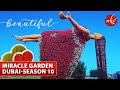 Miracle Garden Dubai 2021-2022 | The World's Largest Natural Flower Garden | Season-10