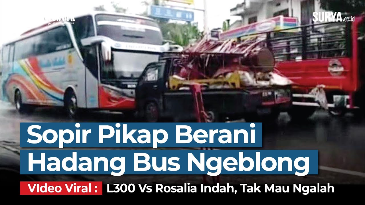Sopir Pikap L300 Berani Hadang Bus Rosalia Indah yang Ngeblong Makan Jalur, Keduanya Tak Mau Ngalah