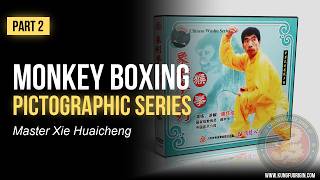 Monkey Fist Kung Fu Hou Quan Pictographic Boxing Form English Voiceover | Part 2/3 [VW599-07]