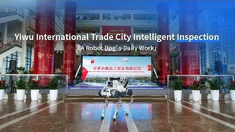 DEEP Robotics X30  | Yiwu International Trade City Inspection