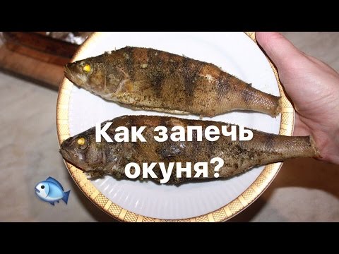 Вопрос: Как часто кормится речной окунь?