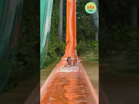 Vidéo: Magic Springs - Parc à thème et parc aquatique de l'Arkansas