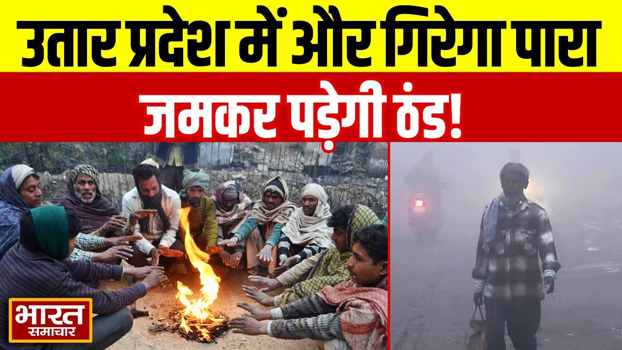 UP Weather Update | Uttar Pradesh में अभी और गिरेगा पारा ! जमकर पड़ेगी ठंड | Cold | IMD Alert