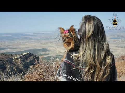 Video: Cómo llegar desde Las Vegas al Parque Nacional Mesa Verde