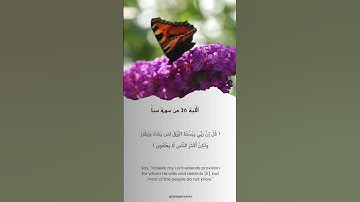 الآية 36 من سورة سبأ #آية_من_القرآن
