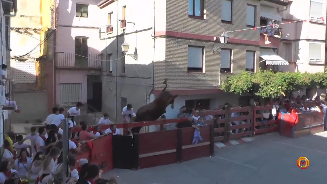 Tv Marcilla - 30/08/2023 - Fiestas - Pánico en el Vallado Parte II.