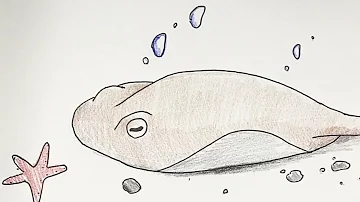 魚絵書き方 Mp3