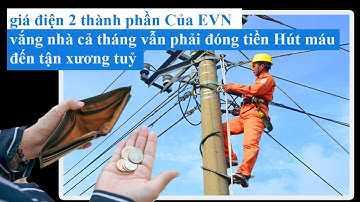 giá điện 2 thành phần Của EVN - Hút máu đến tận xương tuỷ - vắng nhà cả tháng vẫn phải đóng tiền