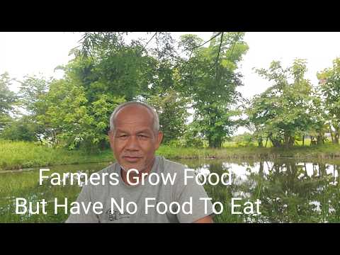 Farmers Grow Food But Have No Food To Eat