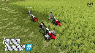 Farming Simulator 22 #18 - Máy Cắt Cỏ Chạy Bằng Cơm screenshot 4