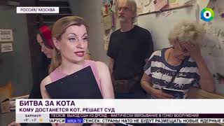Слушание по делу кота Василия затянулось на четыре часа (сюжет телеканала МИР24) Слушание по делу кота Василия затянулось на четыре часа (сюжет телеканала МИР24)