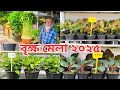 মানিপ্লান্টের দাম / money plant price in bangladesh / 2025 brikkho mela / জাতীয় বৃক্ষ মেলা