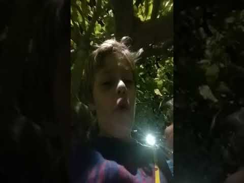 27 de março de 2020