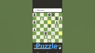 #chess #chessgame #chesscom #puzzle #chessmaster #dingliren #siciliandefense #viral #checkmate