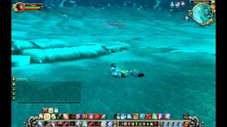 Warrior PTR