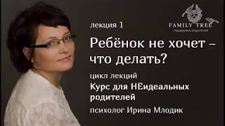 «Ребенок не хочет - что делать?» | Фрагмент вебинара Ирины Млодик | Курс для НЕидеальных родителей «Ребенок не хочет - что делать?» | Фрагмент вебинара Ирины Млодик | Курс для НЕидеальных родителей