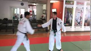A Simple 2-move Hapkido Technique | Toronto Martial Arts School
