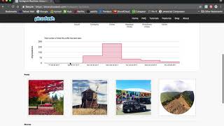 Picodash.com Instagram Profile Insights Information
