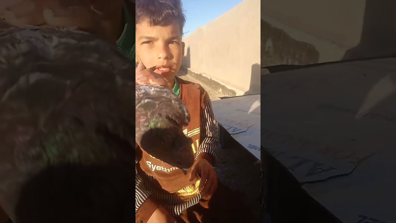 ٢١ فبراير ٢٠٢٦