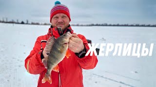 Сработка за сработкой!!! Весенний клев щуки на жерлицы.